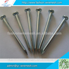 Polished Galvanized concrete nail with smooth shank
