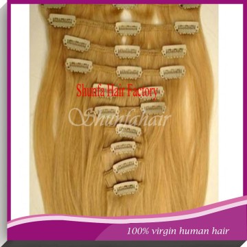 Clip In Remy Human Hair Extensions,5ATop Grade Indian Remy Clip In Hair Extensions