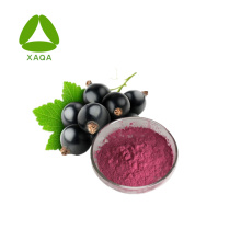 Food Additive Black Currant Fruit Juice Powder