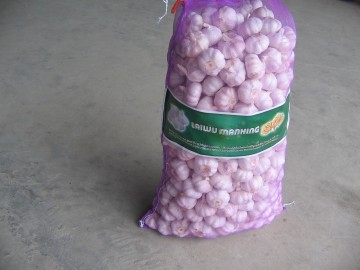 2020 Fresh Normal White Garlic