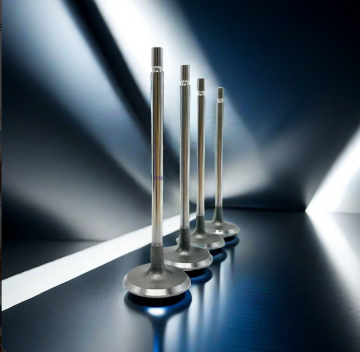 Hot Wholesale Automobile Engine Valves for Nissan