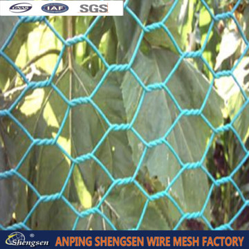 hexagonal gabion mesh/chicken mesh/dog mesh