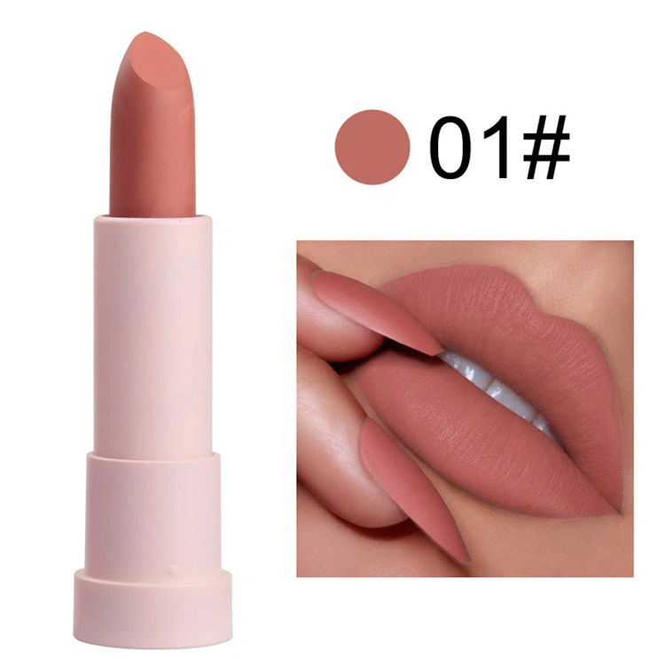 Private Label No Logo Luxury Vegan Makeup Cosmetic Lip Stick Labiales Batom Red Nude Solid Matte Creamy Lipstick Set Low MOQ