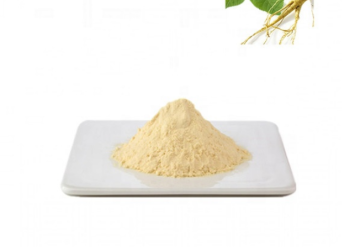 100 pure natural Ginseng Extract ginseng root extract