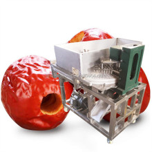 Olive Fruit Stone Removing and Pitting Machine Manufacturers