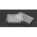 PET Memberane Cell Culture Inserts for 12-well plates