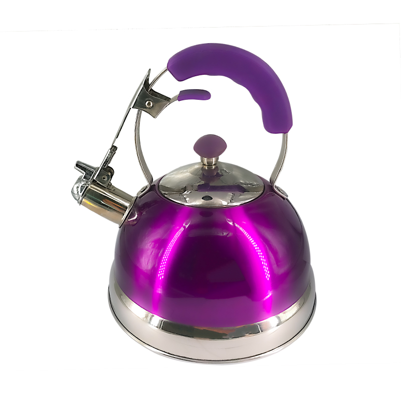 Stainless steel kettle with elegant coating