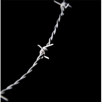 Used galvanized barbed wire for sale