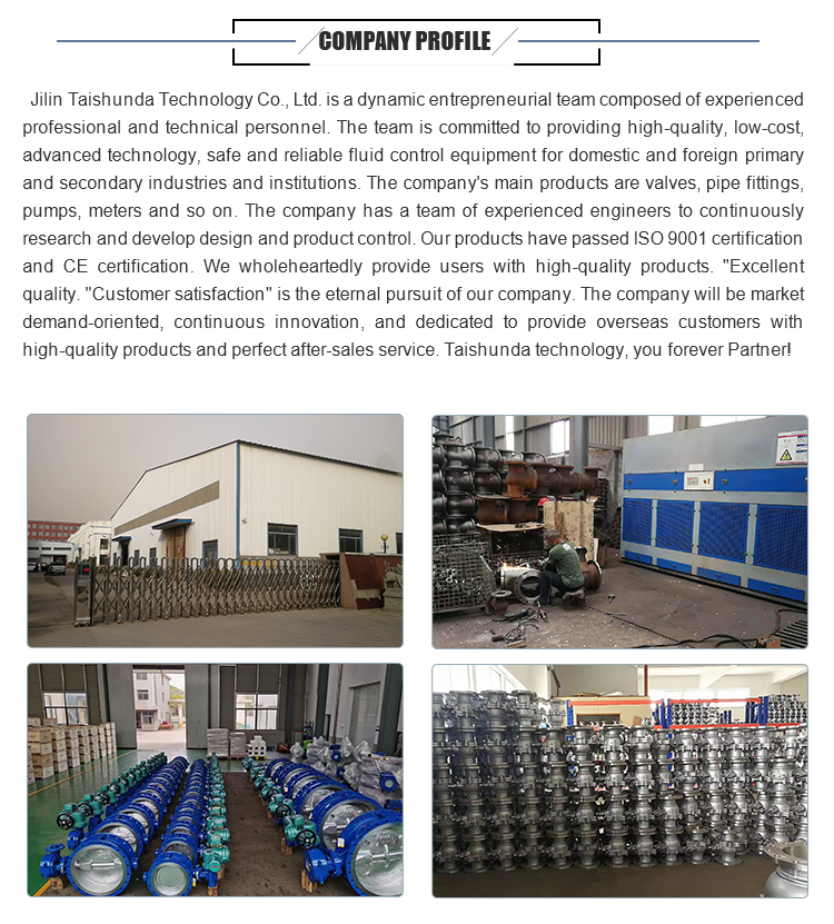 Selling Well All Over The World Steel 316 Ball Triangle Valve