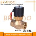 2L Serisi Buharlı Pirinç Solenoid Valf 24V 220V