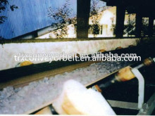 (TRX Rubber products)Chemical resistant conveyor belt