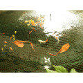 Plastic Square Mesh Pond Net