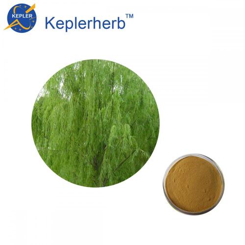 Hot sales White Willow Bark extract, Herbal extract