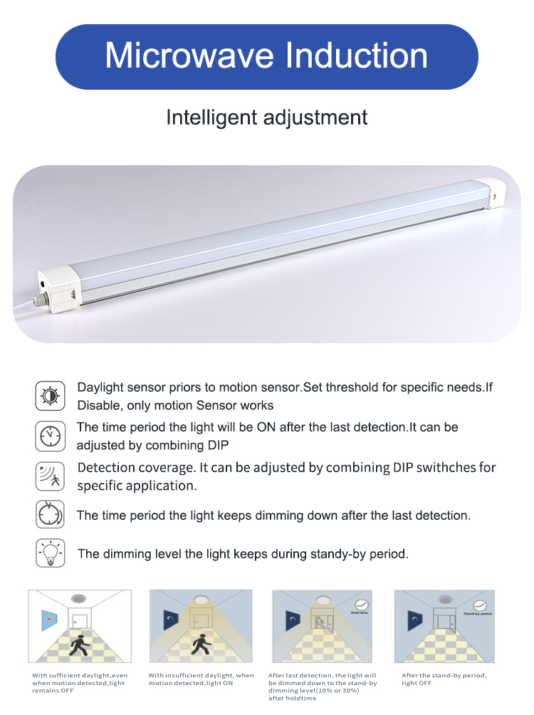 Endurance LED Light