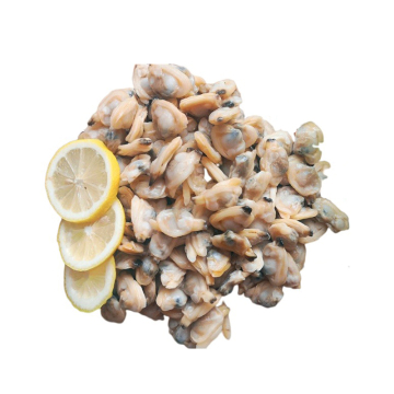 High Quality Frozen Boiled Short Necks Clam Meat