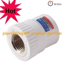 Good quality PPR female socket/coupling
