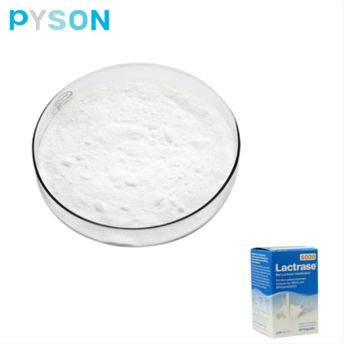 Poudre de lactase 30000 ALU/g