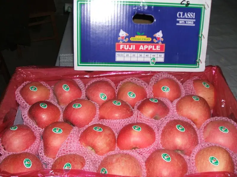 A Grade Fresh Red FUJI Apple