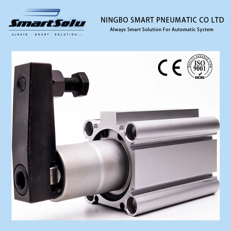 American Standard Stainless Steel Truck Linear Customized Pneumatic Air Cylinder