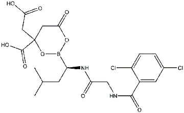Novel Bioactive Proteasome Inhibitor Ixazomib 1201902-80-8