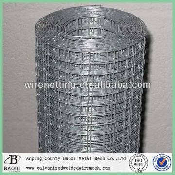 iron square grid 2x2 welded wire mesh