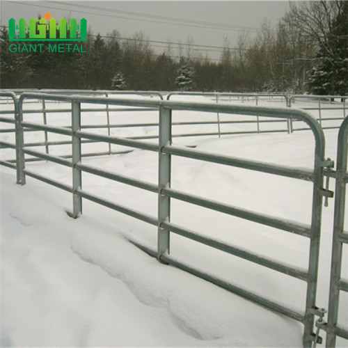 Livestock panels horse fence