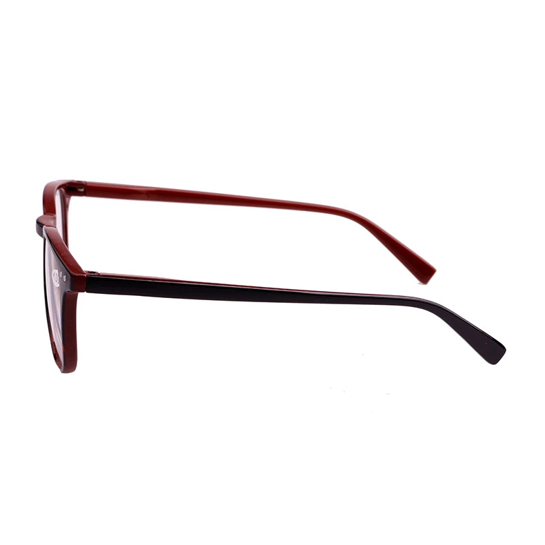 Mens Womens Reading Glasses Spring Hinges PC Frame