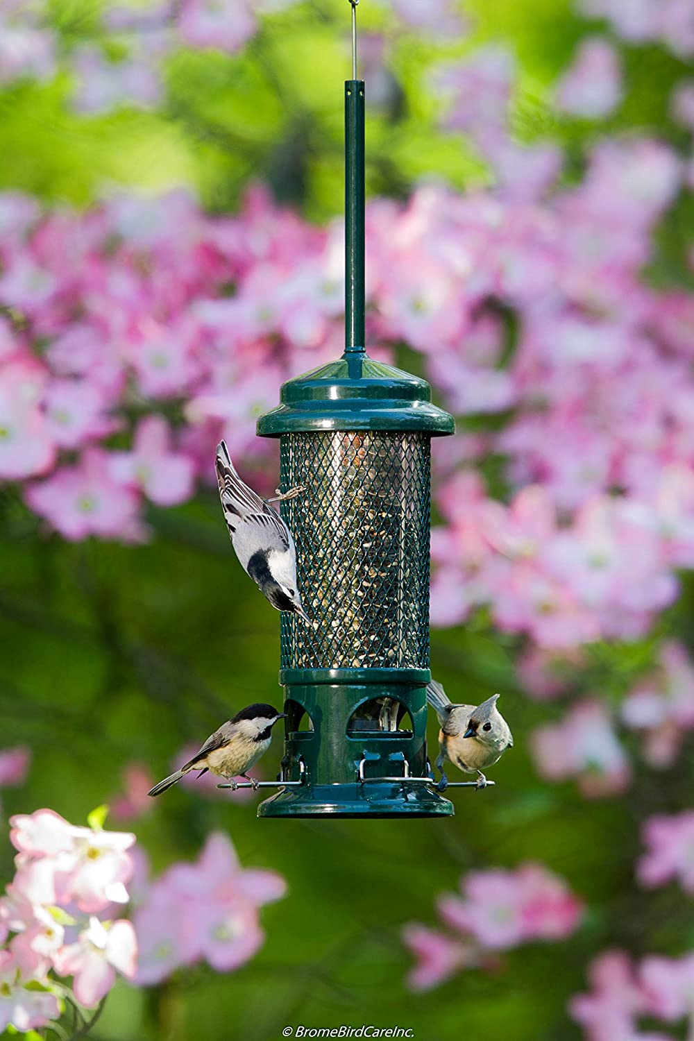 Wiewiórka Buster Bird Feeder