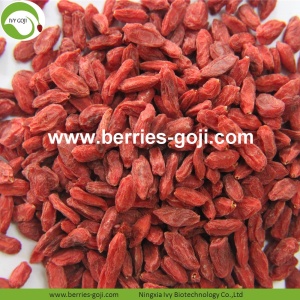 Factory Supply Nutrition Torkad Bio Goji