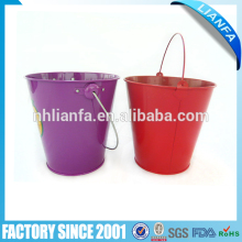 6" iron bucket with handles