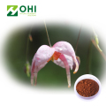 Epimedium Grandiflorum Extract Icariin Powder 20% HPLC