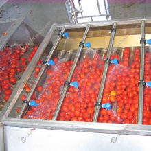 Industrial Fruit and Vegetable Washer: Bubble Wash Machine