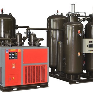 Psa Nitrogen Generators  High Purity Nitrogen Gas