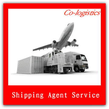 Express service Shenzhen to Singapore-skype:colsales03