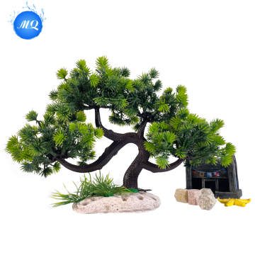 Live Aquatic Plants for Freshwater Aquariums