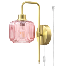 Industrial Plug-In Iron Wall Sconce Light