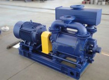 JZJW Oil-free Vertical Reciprocating Vacuum Pump