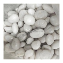 Natural White Polished Oval Pebbles for Landscape and Outdoor Decor