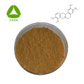 Тетрагидропалматина Corydalis Extract Powder CAS 10097-84-4