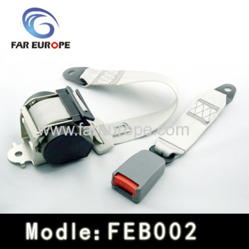 3 Point Automobile Safety Belt?