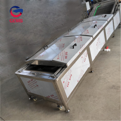 Commerical Fruit and Vegetable Blanching Equipment