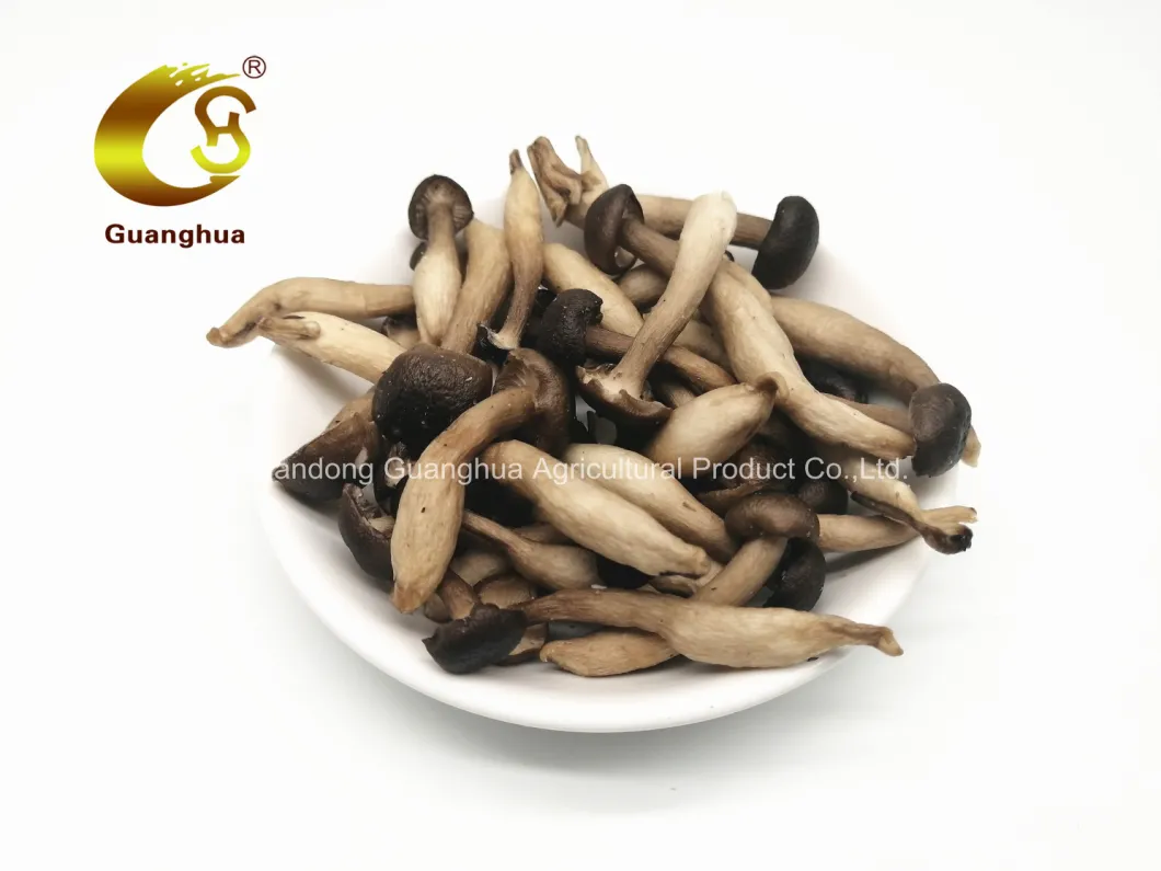 Wholesale Price Vf Vegetables Mixed Vf Vegetables