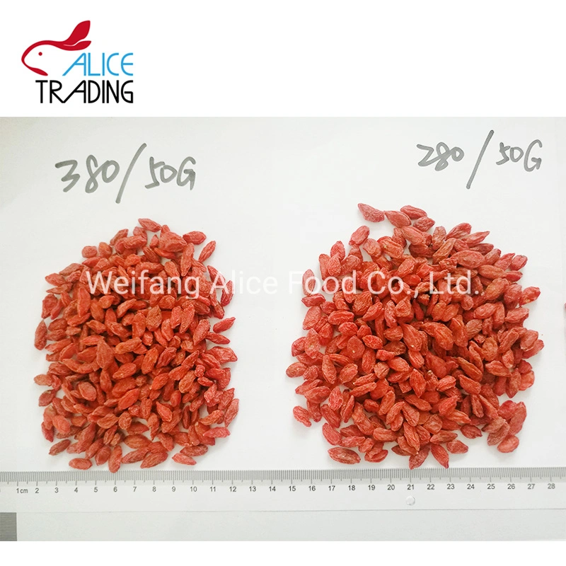 Bulk Packing Low Price Super Food Dried Goji Berry Wolfberry Dry Goji