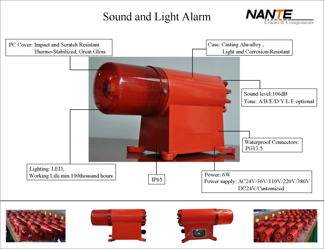 IP65 Protection Class Crane Protect AC24V / AC36V / AC110V / AC220V / DC24V / Customized