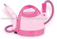 Multi-functional steam cleaner