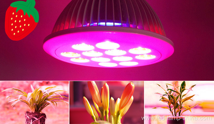 Helper Of Family Plant Light And greenhouse 12w Par LED grow light