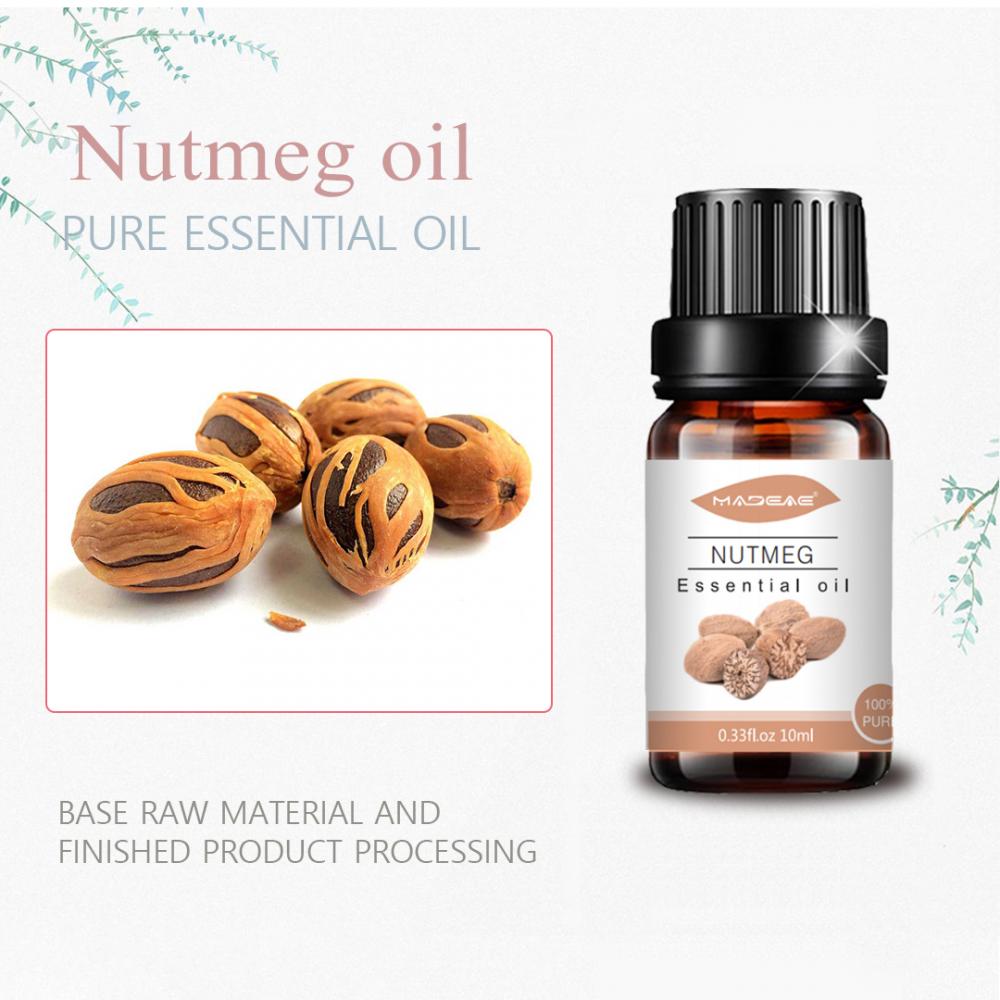 Wholesale Nutmeg Oil for Skin Care at bulk