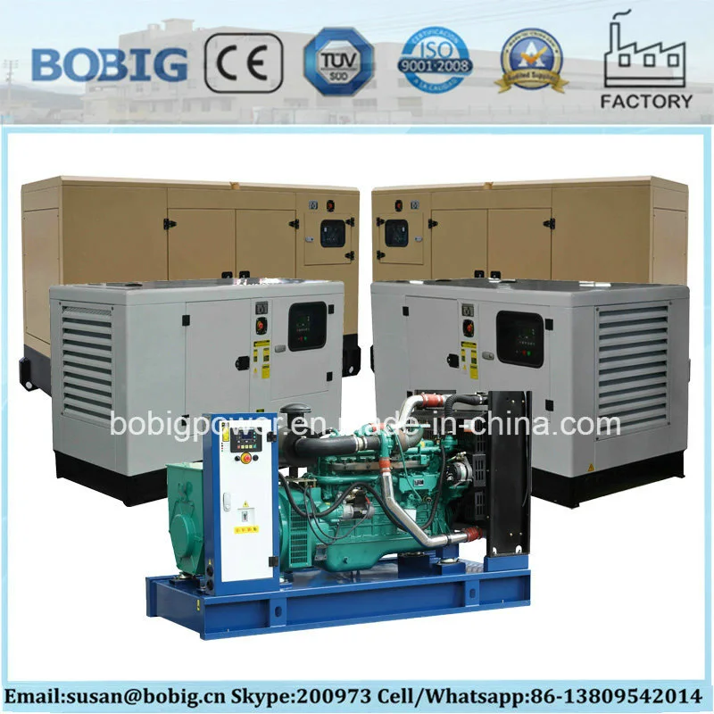 Factory Direct Diesel Generator Set with Chinese Kangwo Brand (200KW/250kVA)