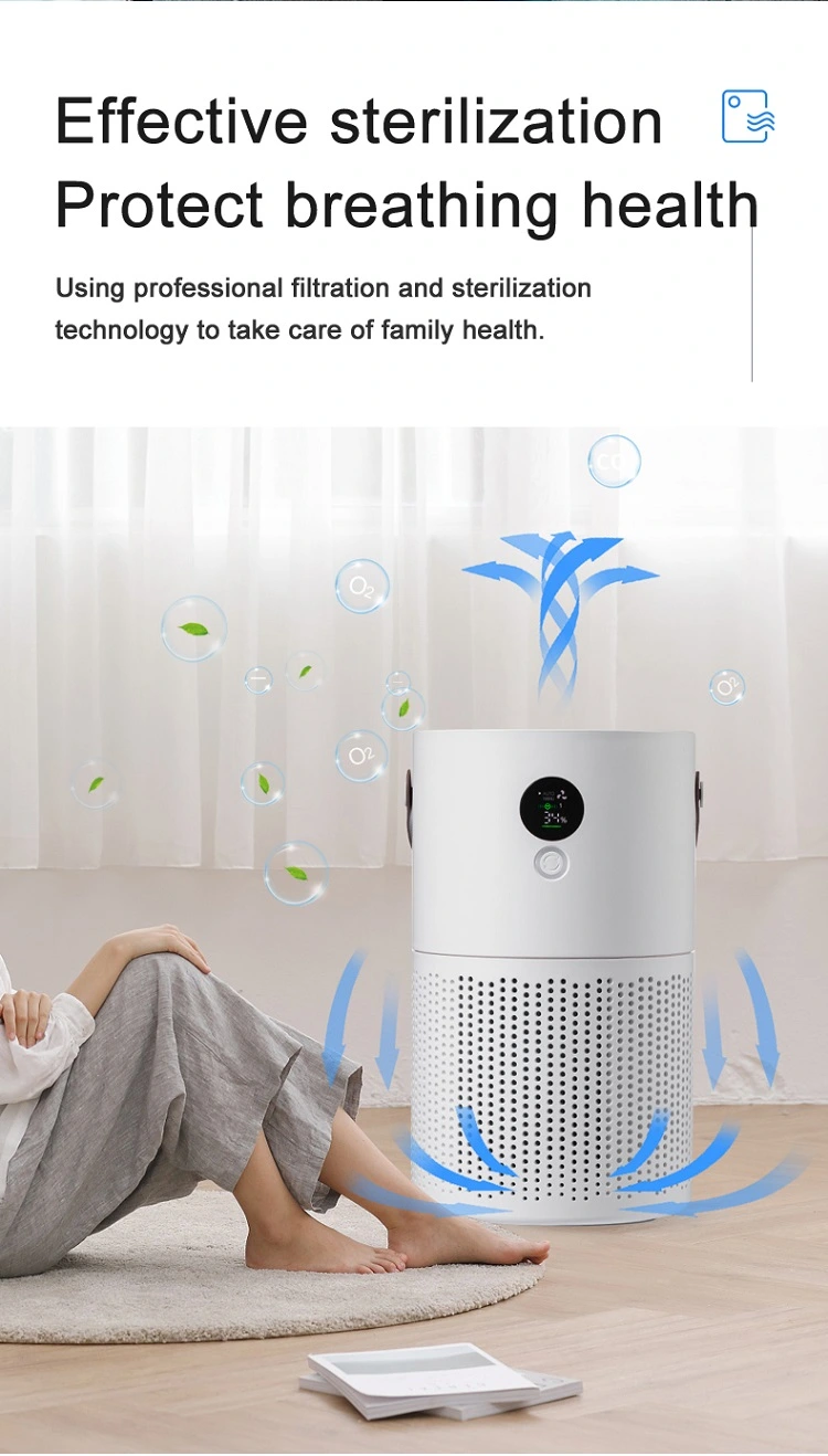 Intelligent Control Negative Ion Mini Air Purifier Air Cleaner Filter with True HEPA Air Filter