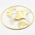 Χρυσή στρογγυλή πλαίσιο φύλλων μετάλλων διακόσμηση τοίχου τέχνης
